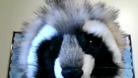 Hilarious take on Committing Suicide in a Suicide Pool...