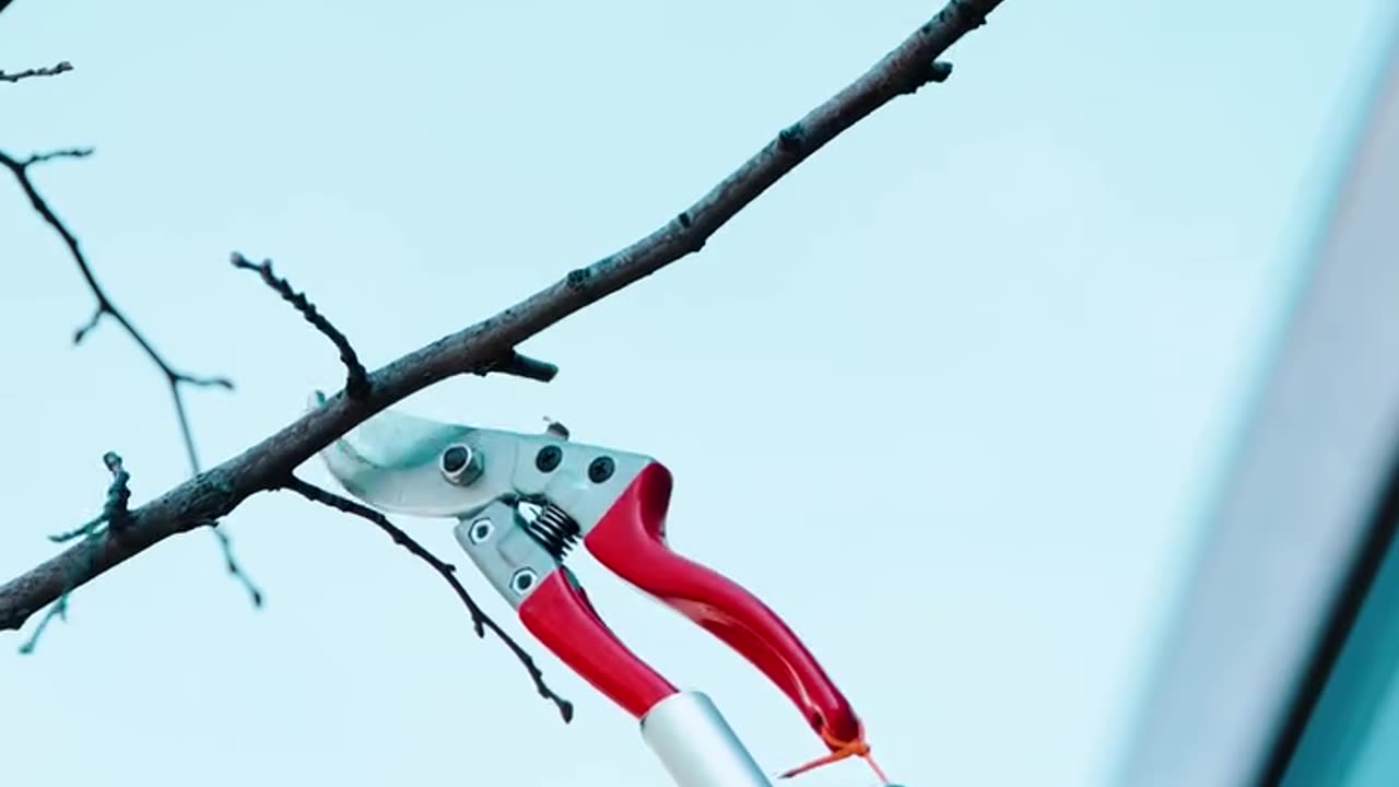 An easy DIY branch cutter ASMR.hd