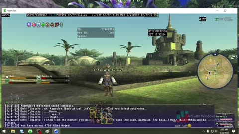 Playing Final Fantasy XI Online