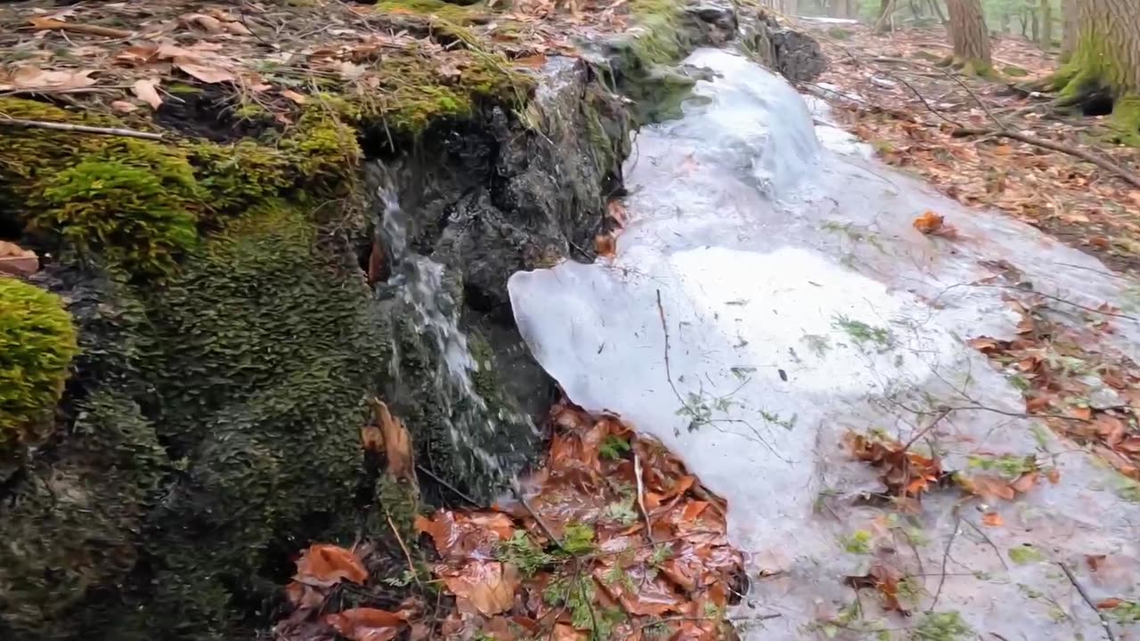 Take a Hike