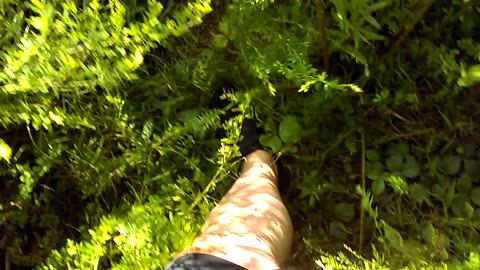 My first walk in Vibram 5 Finger shoes - Date: 8/6/2016