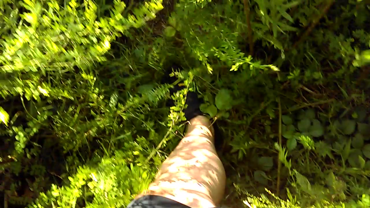 My first walk in Vibram 5 Finger shoes - Date: 8/6/2016