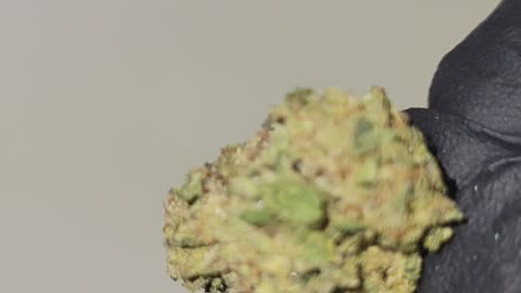 Papaya Punch THCA Flower Ounces