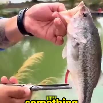 He Thought He Caught a Fish… Until He Saw THIS Inside!