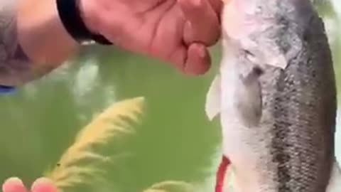 He Thought He Caught a Fish… Until He Saw THIS Inside!