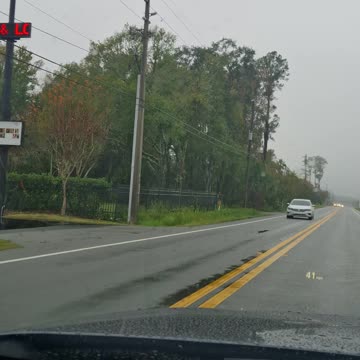 DON'T GIVE YOUR LOOSH TO THE REPTILES!