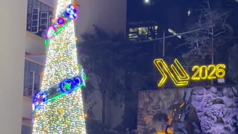 The Lighting of the SLU Giant Christmas Tree 2025