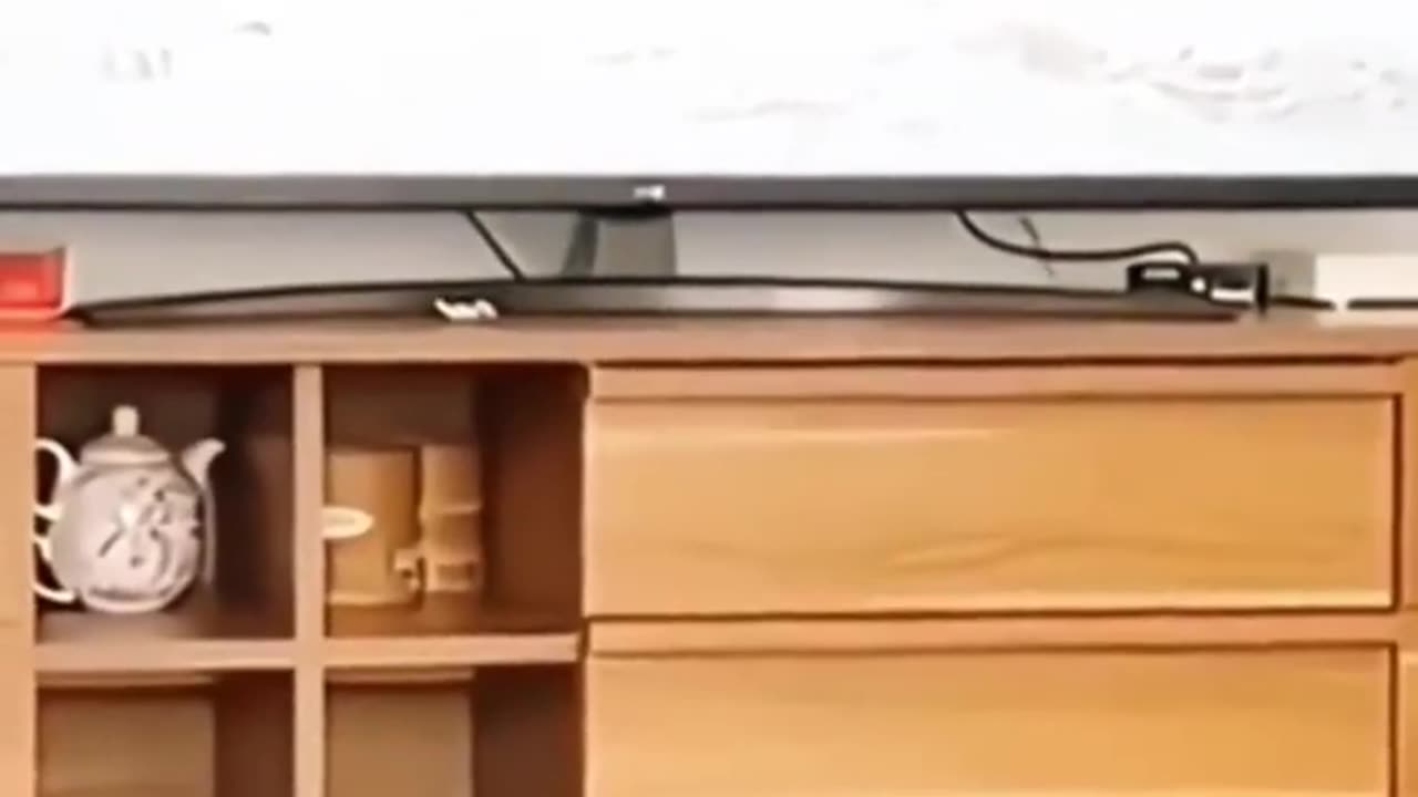 Funny Animal Videos 7