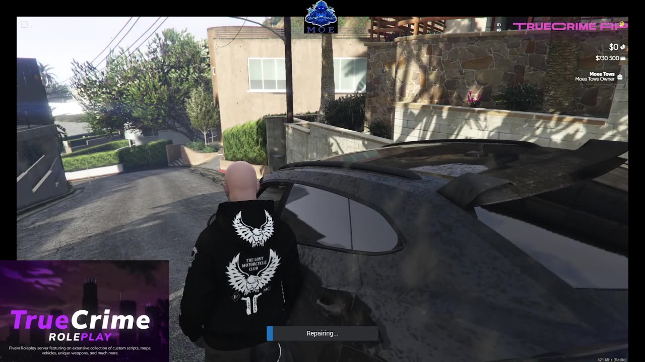 TRUE CRIME RP GTA FIVEM