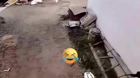 Follow for more
