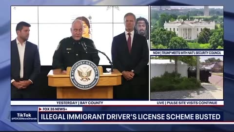 FLORIDA BUST OF DMV EMPLOYEES TAX COLLECTORS PANAMA CITY FOR SELLING CDL DRIVERS LICENSE TO ILLEGALS