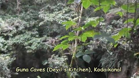 Guna Caves (Devil's Kitchen), Kodaikanal | Exploring the Mysterious & Forbidden Chasm