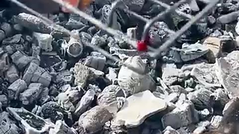 Rustic Shwarma of Chicken