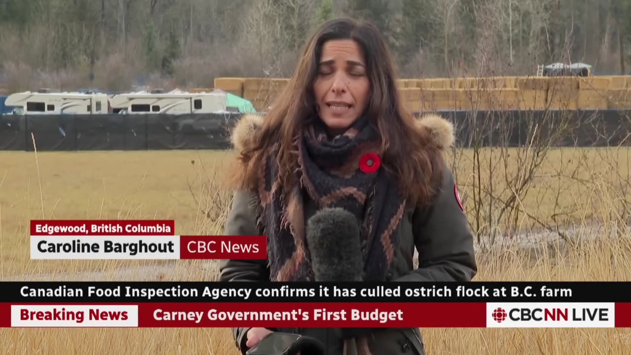 You would never know they killed 330 birds from this report