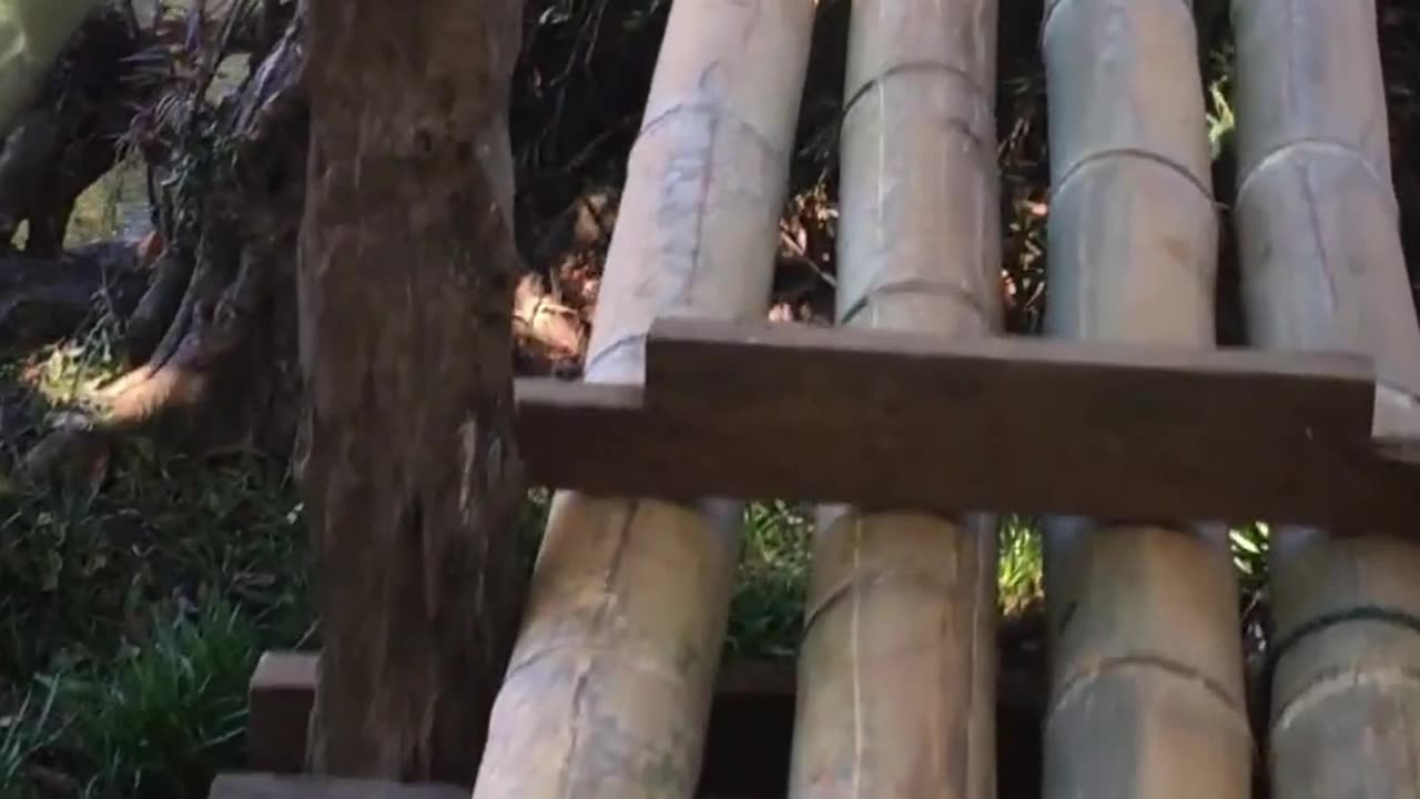 God awaken ones need to focus on continuation of spiritual growth. Please, be ready to move to 5D.