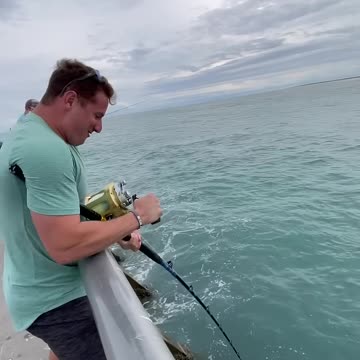 MASSIVE Fish eats this Bait!
