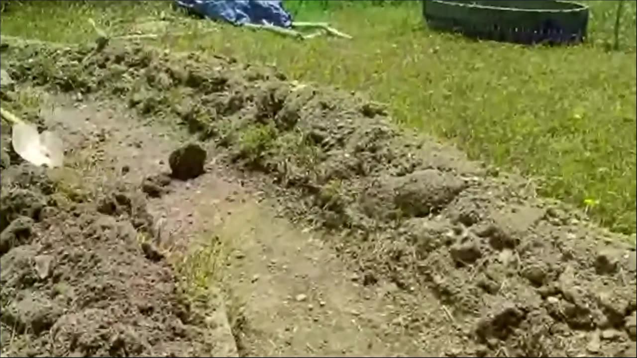 Morning Coffee w/ Doc : Ditch Digging Dirt Therapy