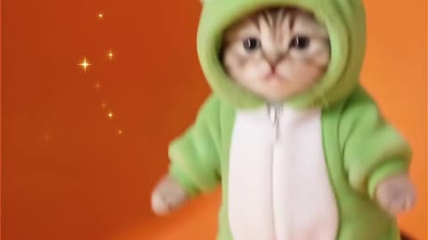 Frog-Costume Cat Breaks Out Moves 🐸😸 | Cute Cat Dancing Short #CuteCats #FrogCostume #CatDance