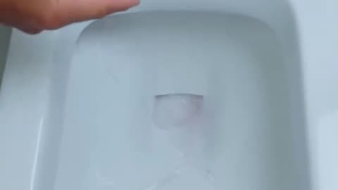 Place a piece of aluminium foil in your toilet and you will be surprised