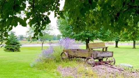 Rustic Relaxation in Gaylord, Mn.