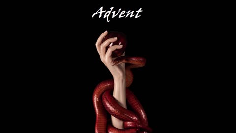 2021 Advent - El Trato