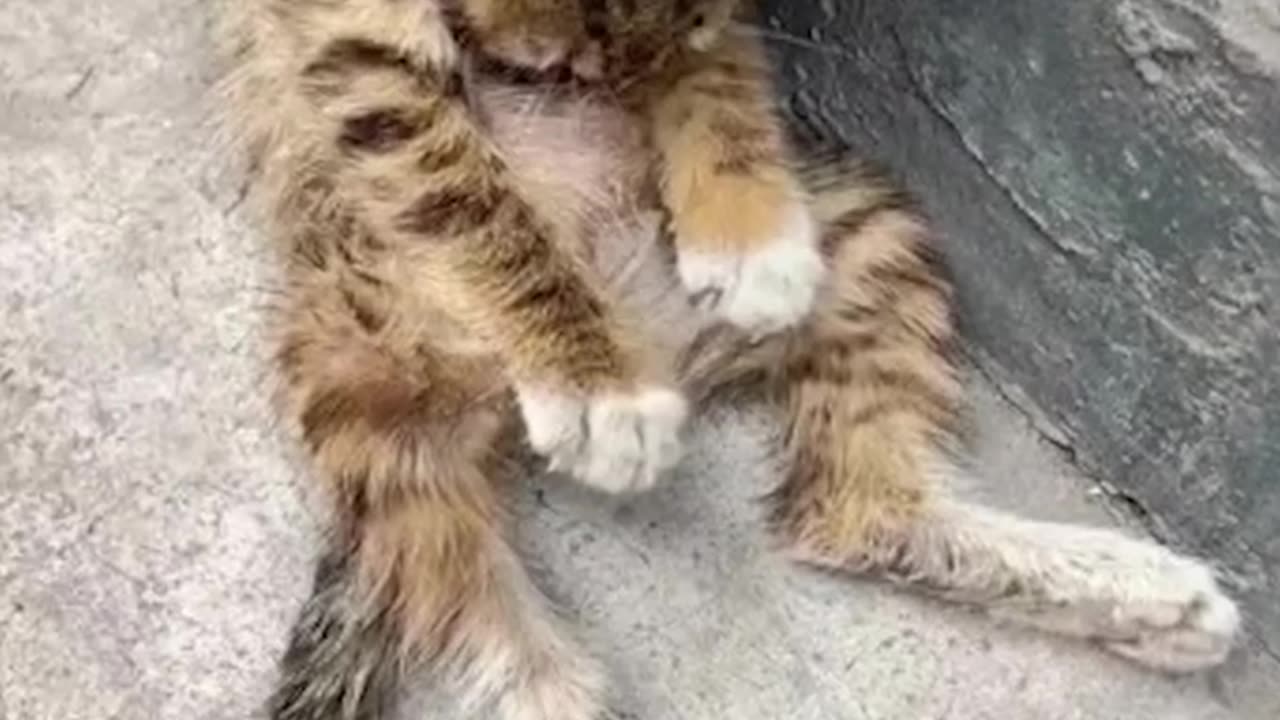 😥 Toda mojada espera su final 😭😢