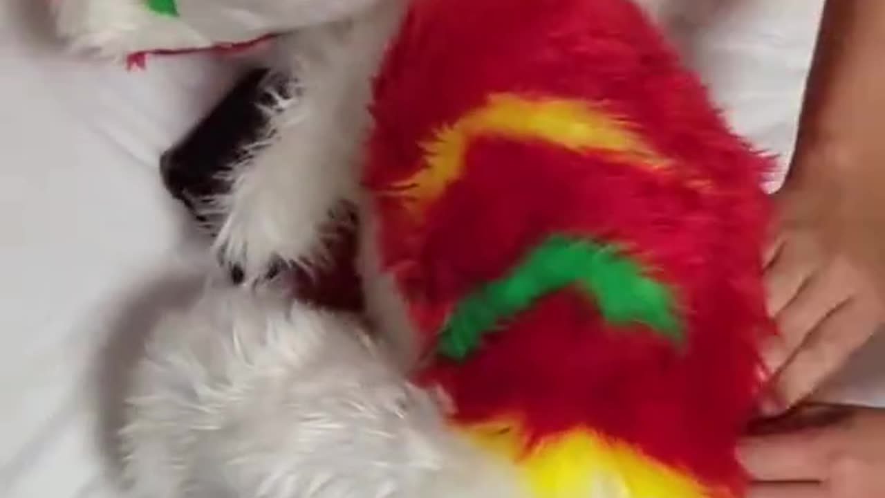 .