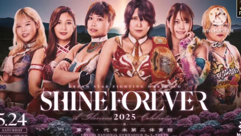 Marigold Shine Forever 2025 Highlights