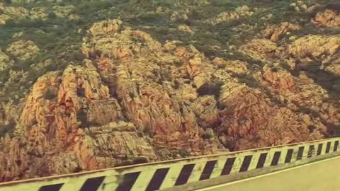 La fotosintesi oscurata: lettura e montaggio video di Dino Tinelli, testo de @Lanonaelica.