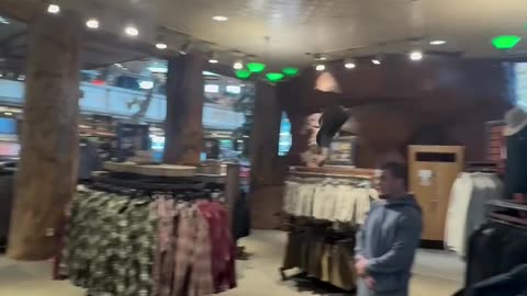 Islam Makhachev’s Hat Toss Lands Perfectly