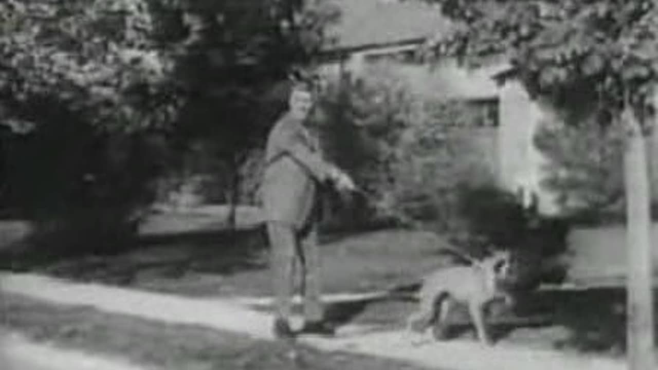 Commercial - Wildroot Hair Dressing jingle