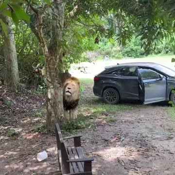 His soul almost left his body