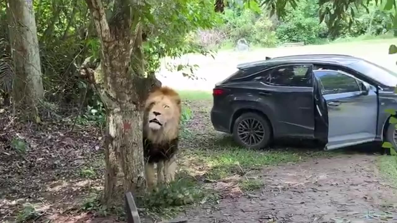 His soul almost left his body