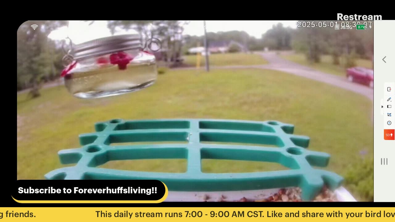 Bird Feeder Live 5-1