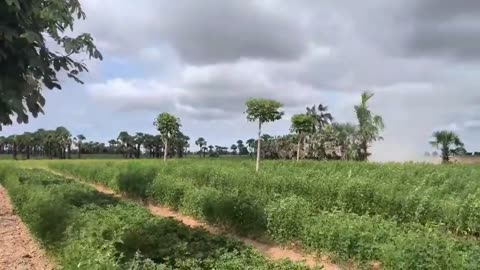 🚀💥 Myanmar War | LPDF Rockets Strike Pakokku Airport Injuring Soldiers, Damaging Runway | RCF