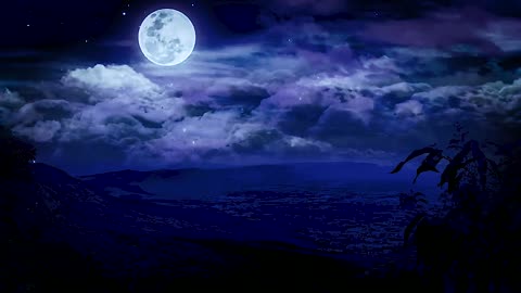 Immerse yourself in the Embrace of the Night - Music That Brings Calm and Relaxation