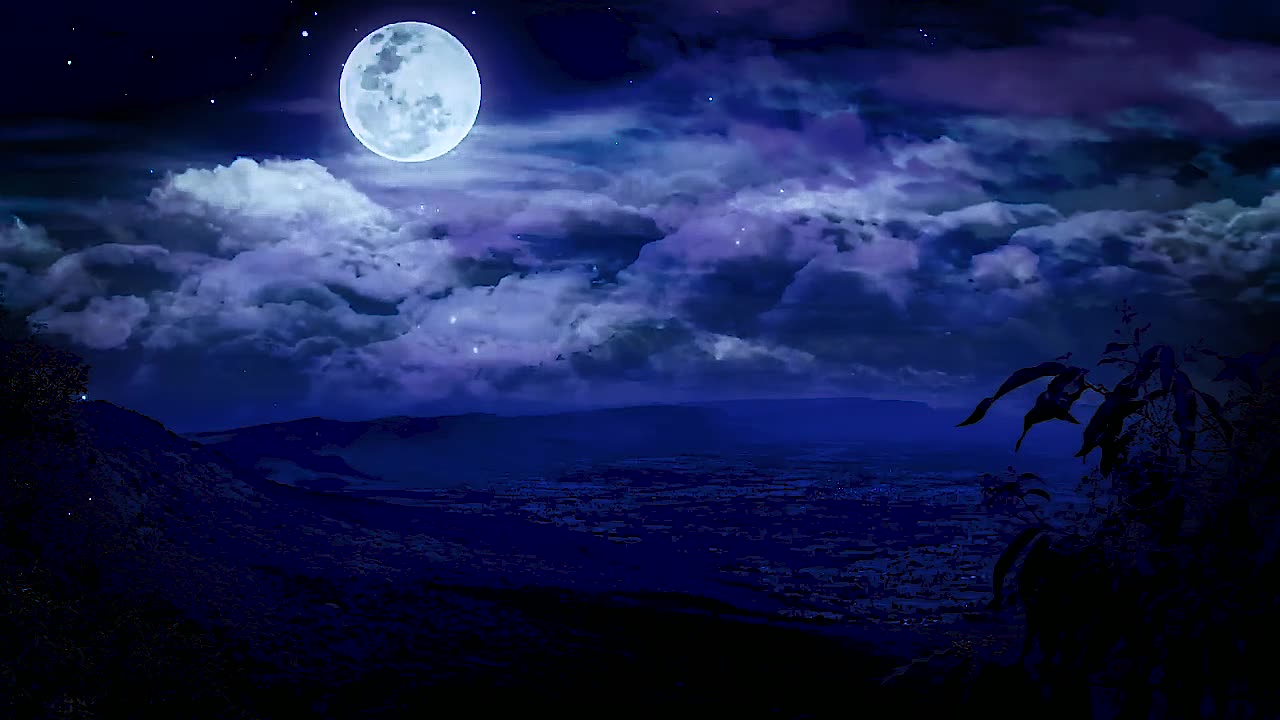 Immerse yourself in the Embrace of the Night - Music That Brings Calm and Relaxation
