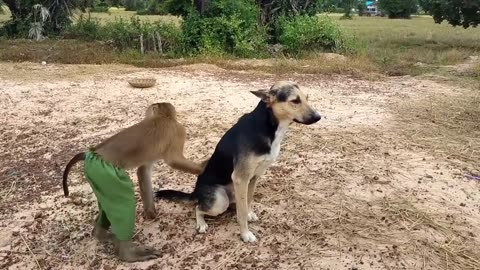 Help Me !!!! Don't Drag Me Very Horrible Like This