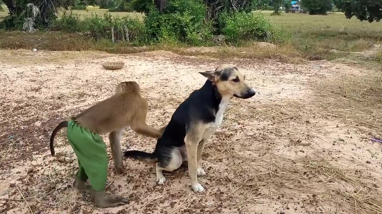 Help Me !!!! Don't Drag Me Very Horrible Like This