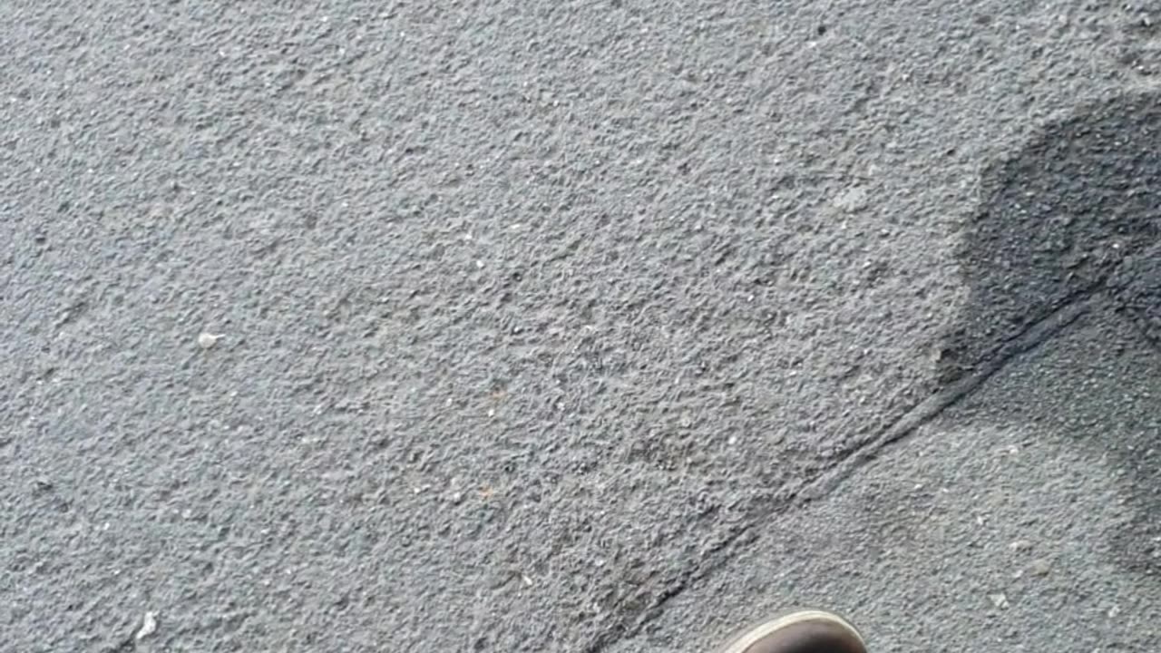 pope francis has died