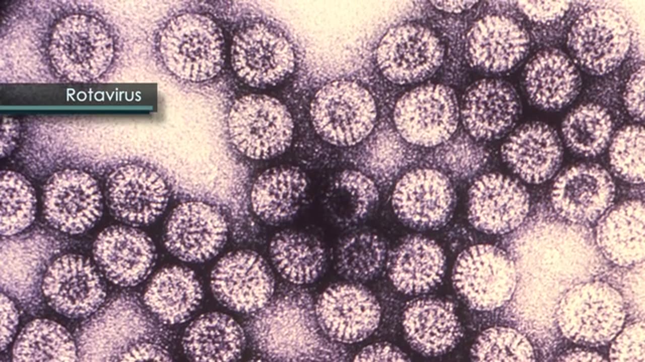 1530-14 - The Evolution of Extreme Life