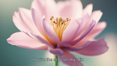 Echo on My Skin