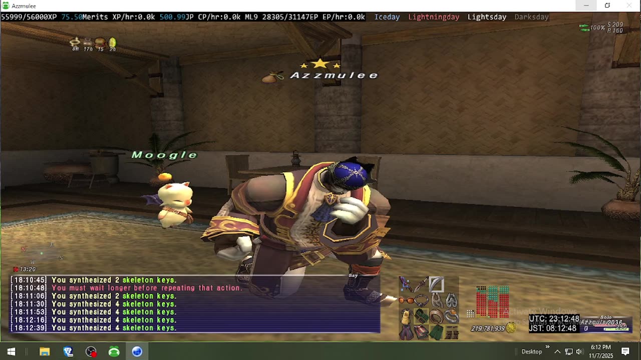 Playing Final Fantasy XI Online