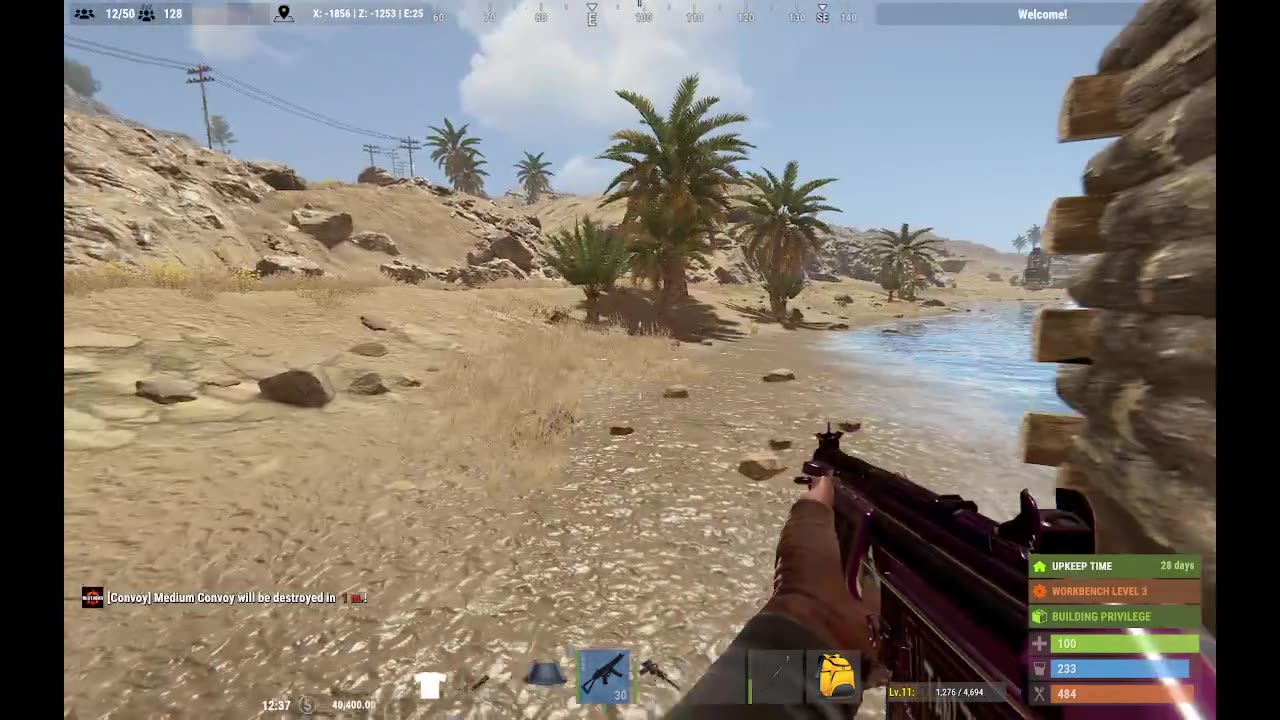 Rust PVE