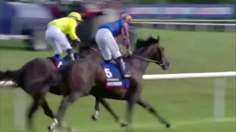 2025 St Leger (Doncaster) | Scandinavia, Rahiebb, Lambourn