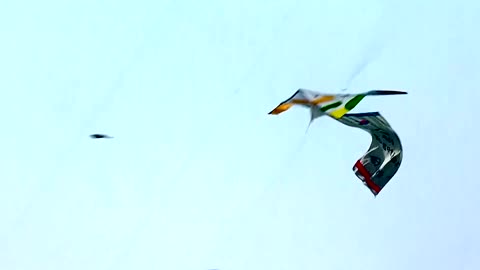 Germany's Merz flies kites with Modi in India