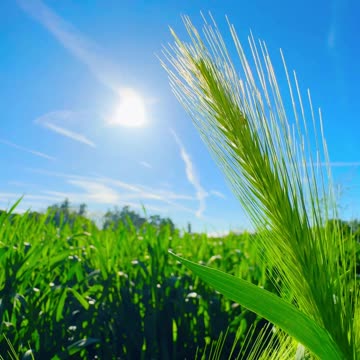 The charm of the natural environment that brings peace to the mind