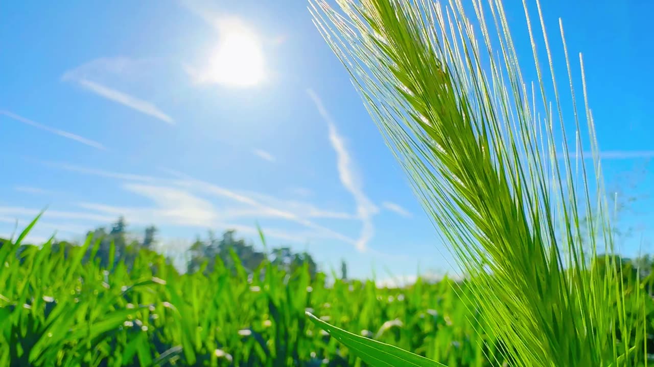 The charm of the natural environment that brings peace to the mind