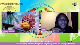 Sativa Saturdays on the IWK 710 Daily Sesh