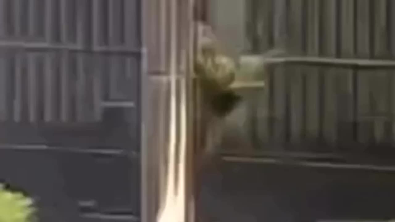 Indonesian police are fascist
